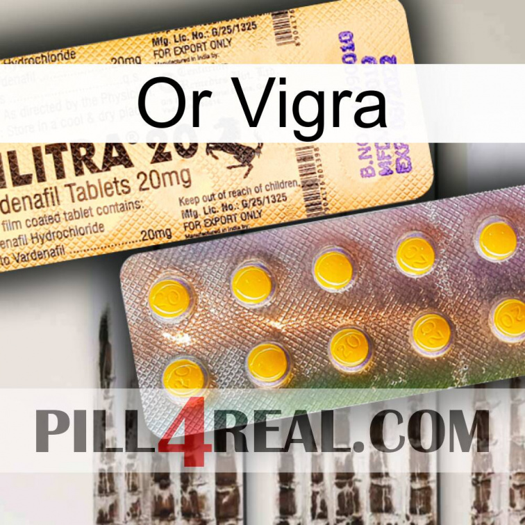 Gold Vigra new06